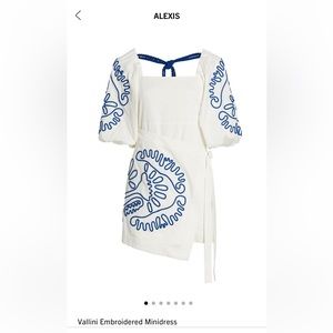 Alexis Vallini Embroidered Minidress , Blue Floral, Large